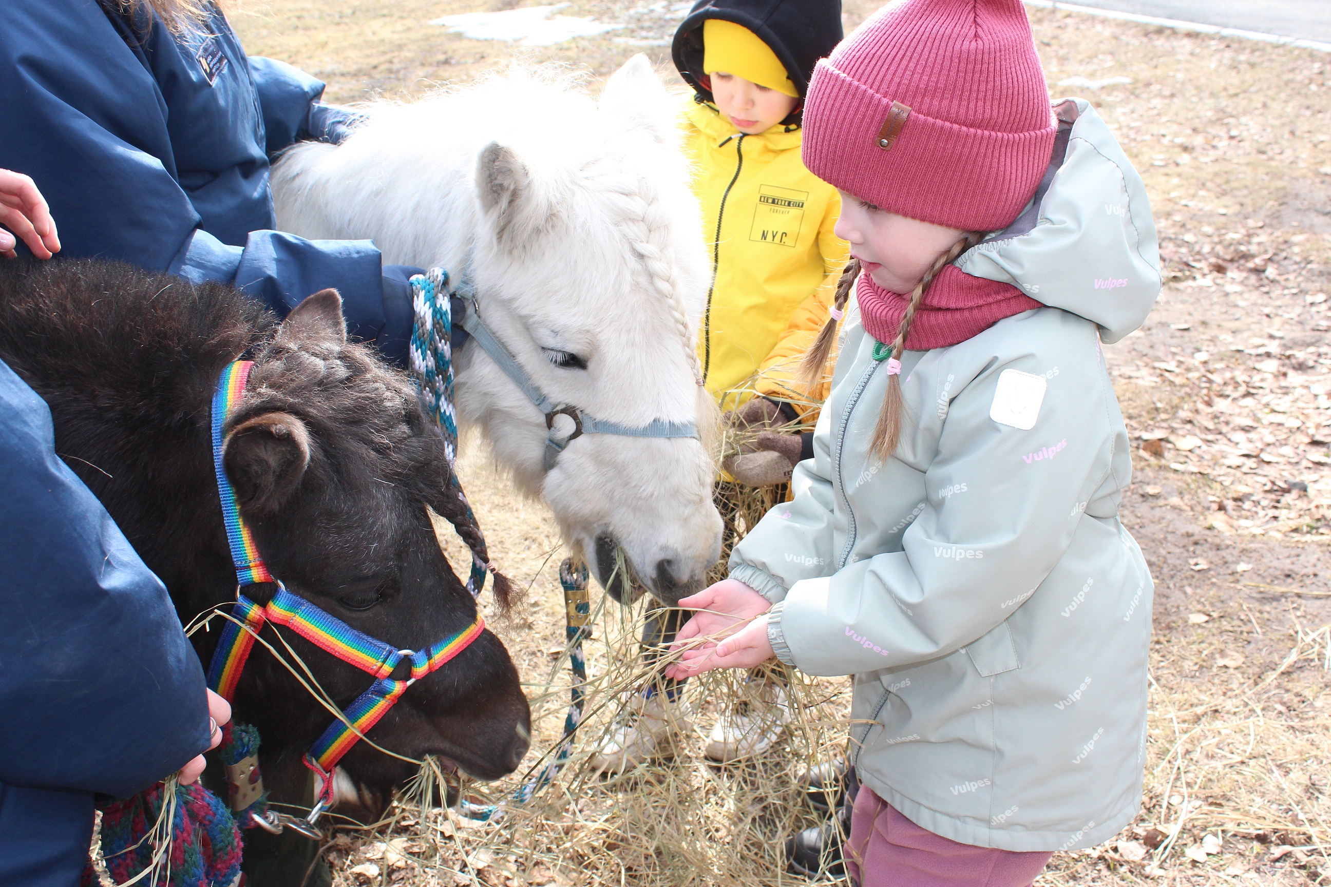 Фестиваль #ЛюдиКакЛюди 2 апреля 2025