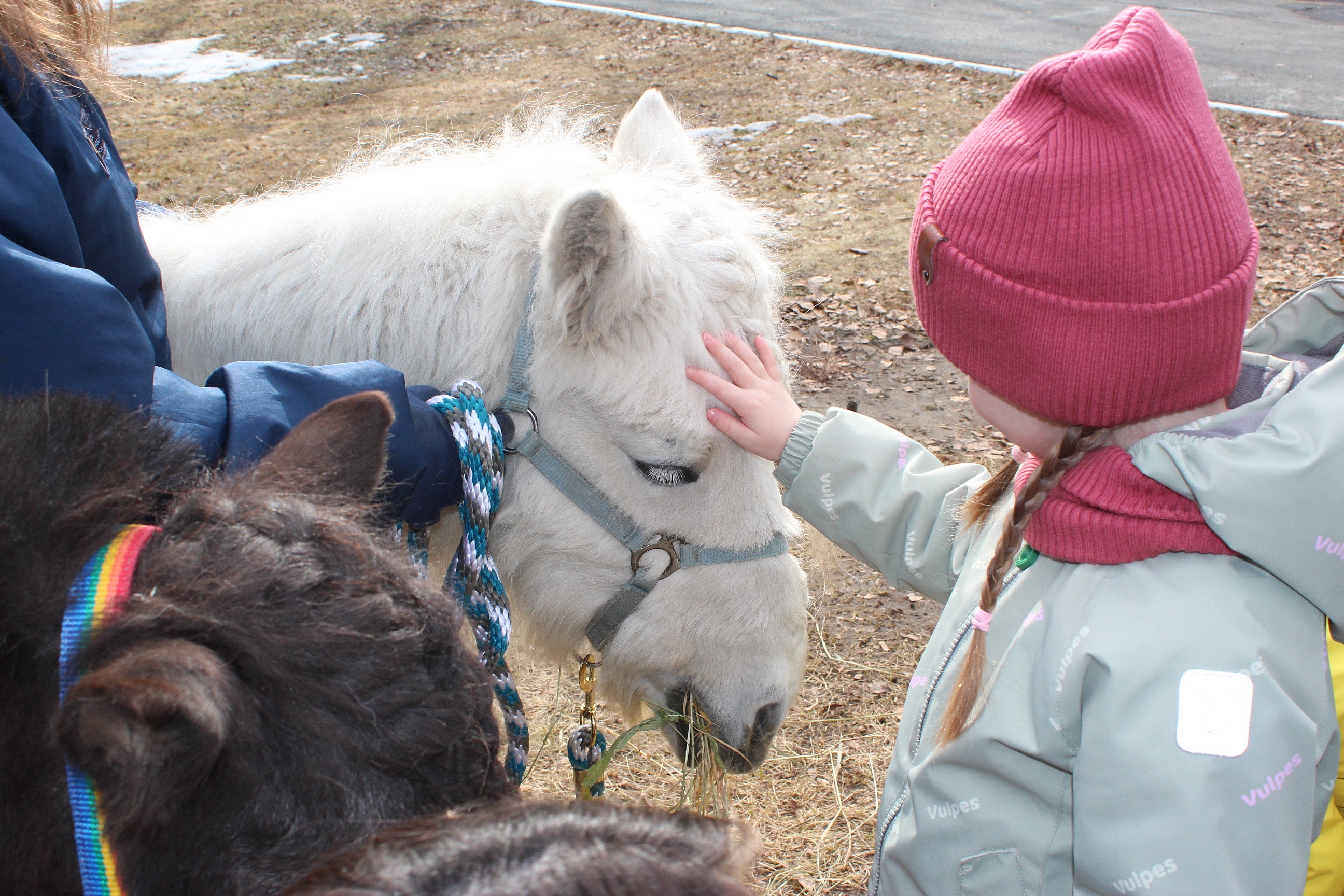 Фестиваль #ЛюдиКакЛюди 2 апреля 2025